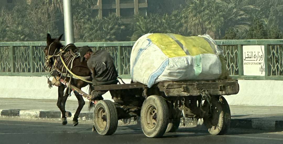 Highways are just a place, just as anywhere. Sure, your donkey can pull your wagon full goods down a seven lane highway.